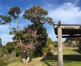 sitio-garibaldi-imagem