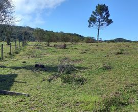area-rural-sao-jose-dos-pinhais-imagem