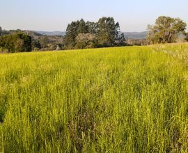 area-rural-vera-cruz-imagem