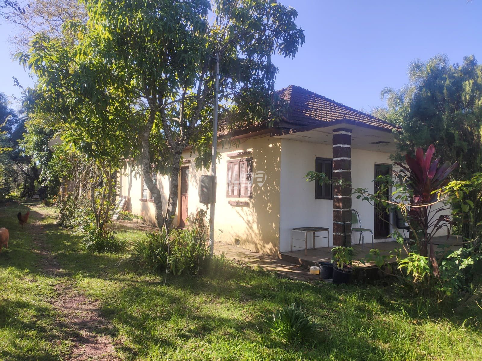 Imovel