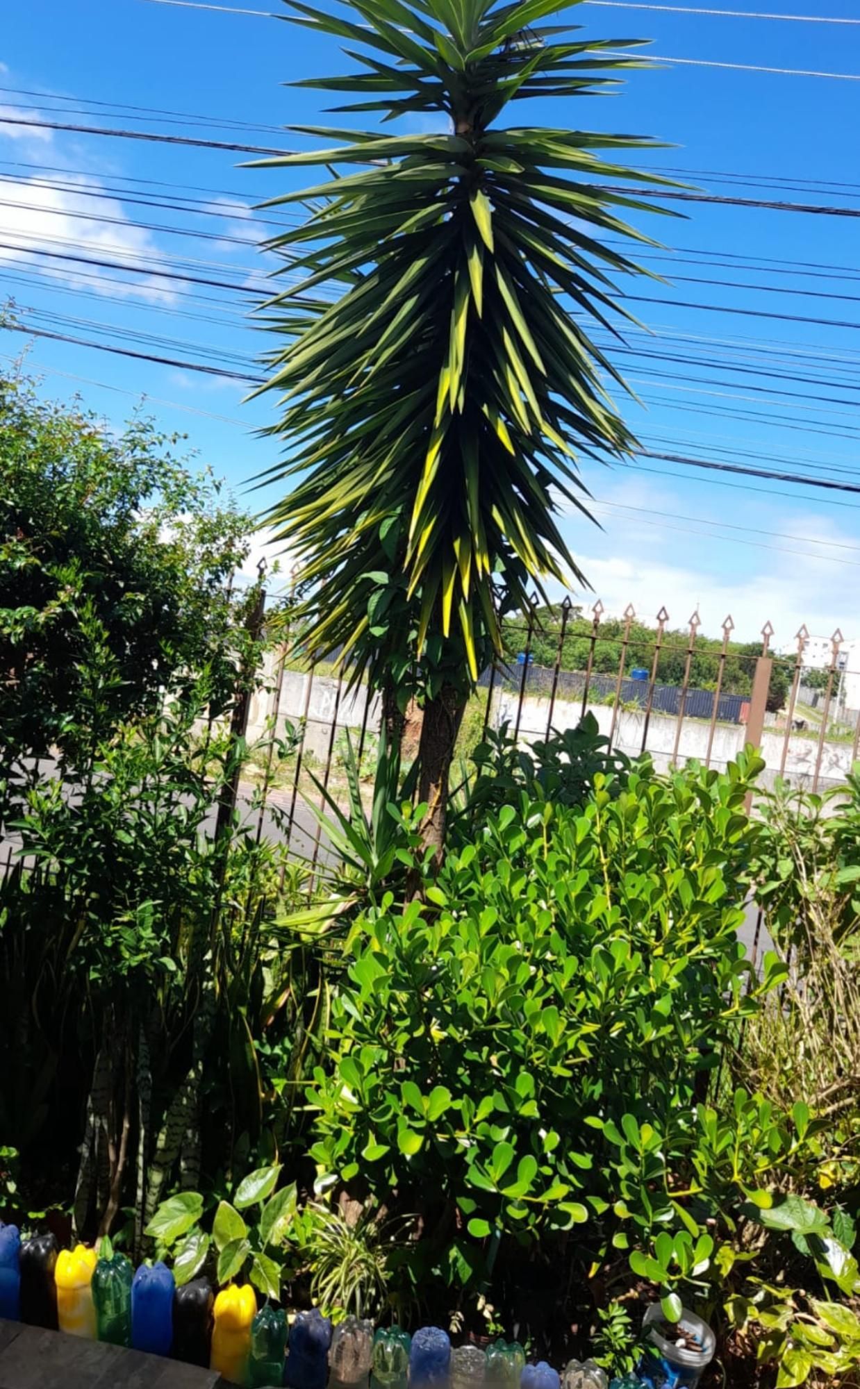 Casa Comercial Residencial 3 dormitórios 1 vaga Jardim Leopoldina Porto Alegre — foto 7