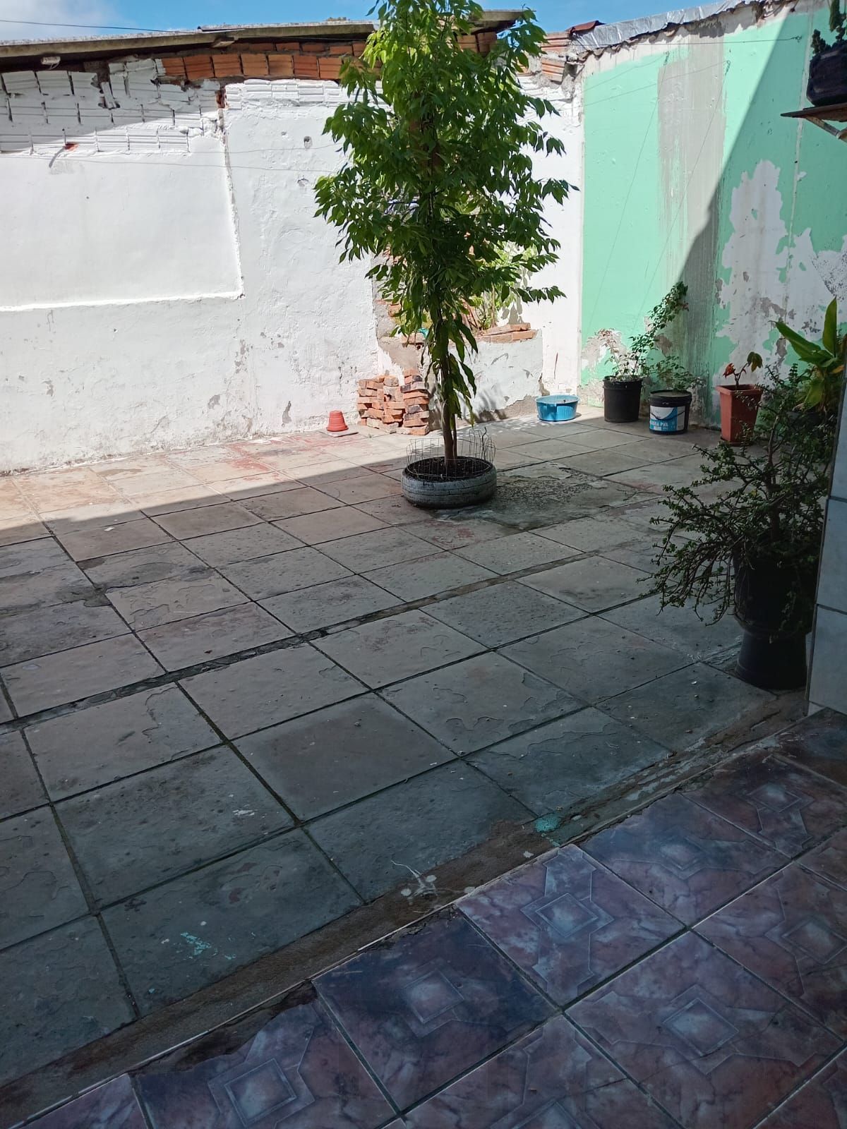 — foto 8