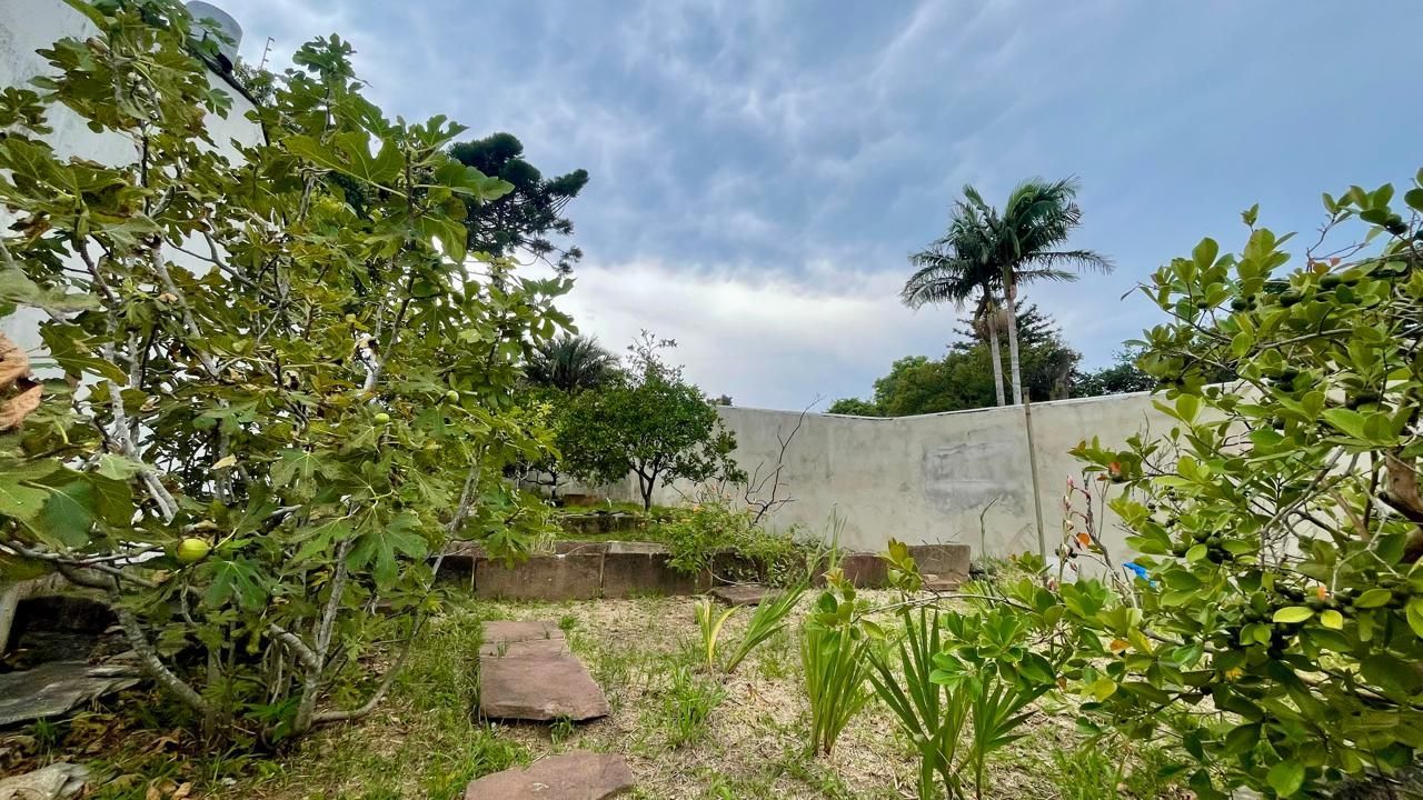 Casa ampla com pátio gourmet e árvores frutíferas — foto 1