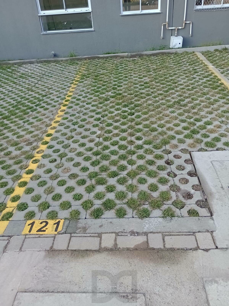 2562689.jpeg