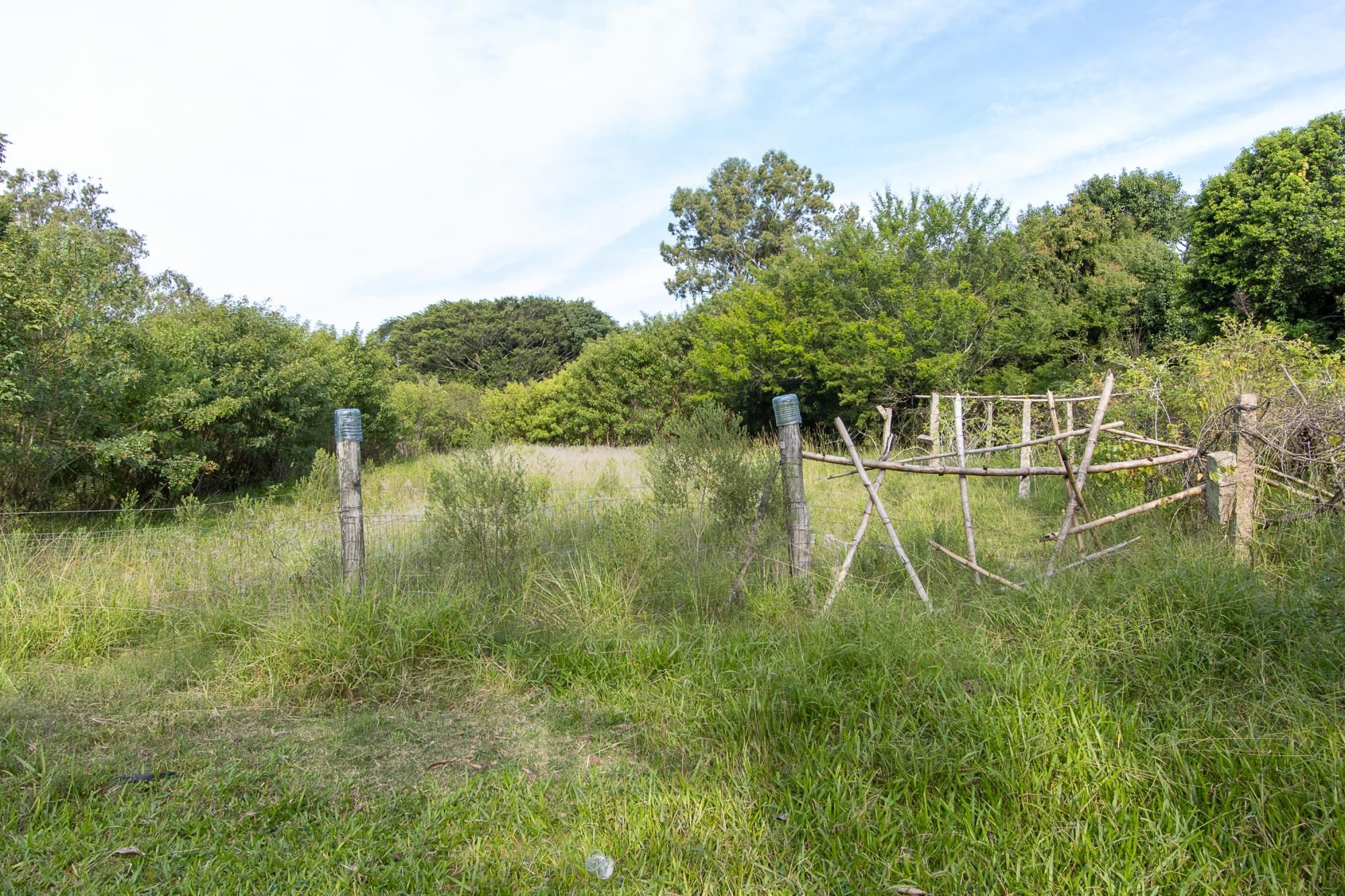 Área medindo 33.426m²! — foto 9