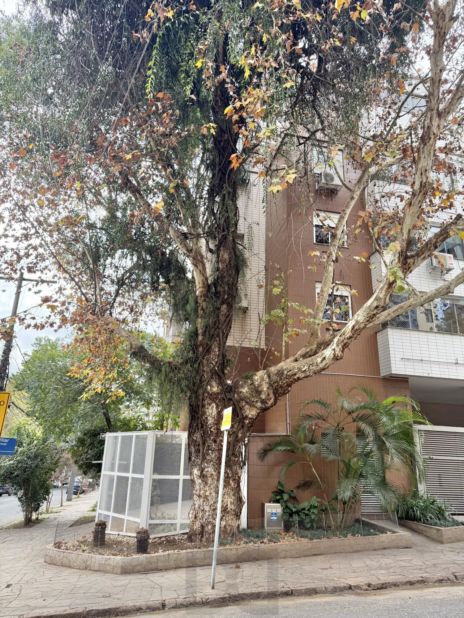 Excelente apartamento para comprar com 2 dormitórios no Bairro Mont' Serrat — foto 45