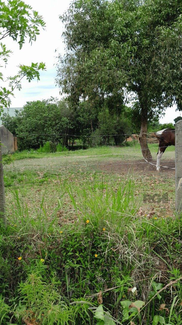 Terreno com 1.000m² , dimensões de 20x50, — foto 9