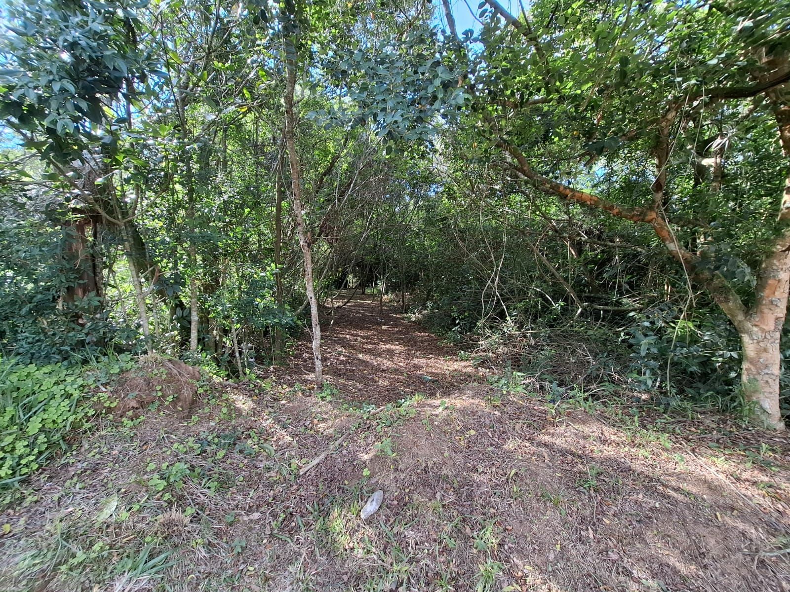 Terreno medindo 20 de frente por 65.46 de extenção Av Costa Gama 2845 — foto 3