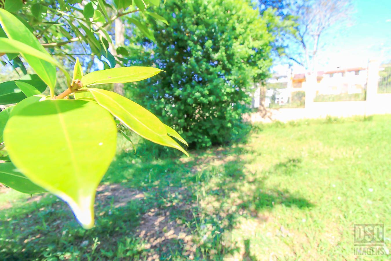 Terreno para Venda - 175m² — foto 7