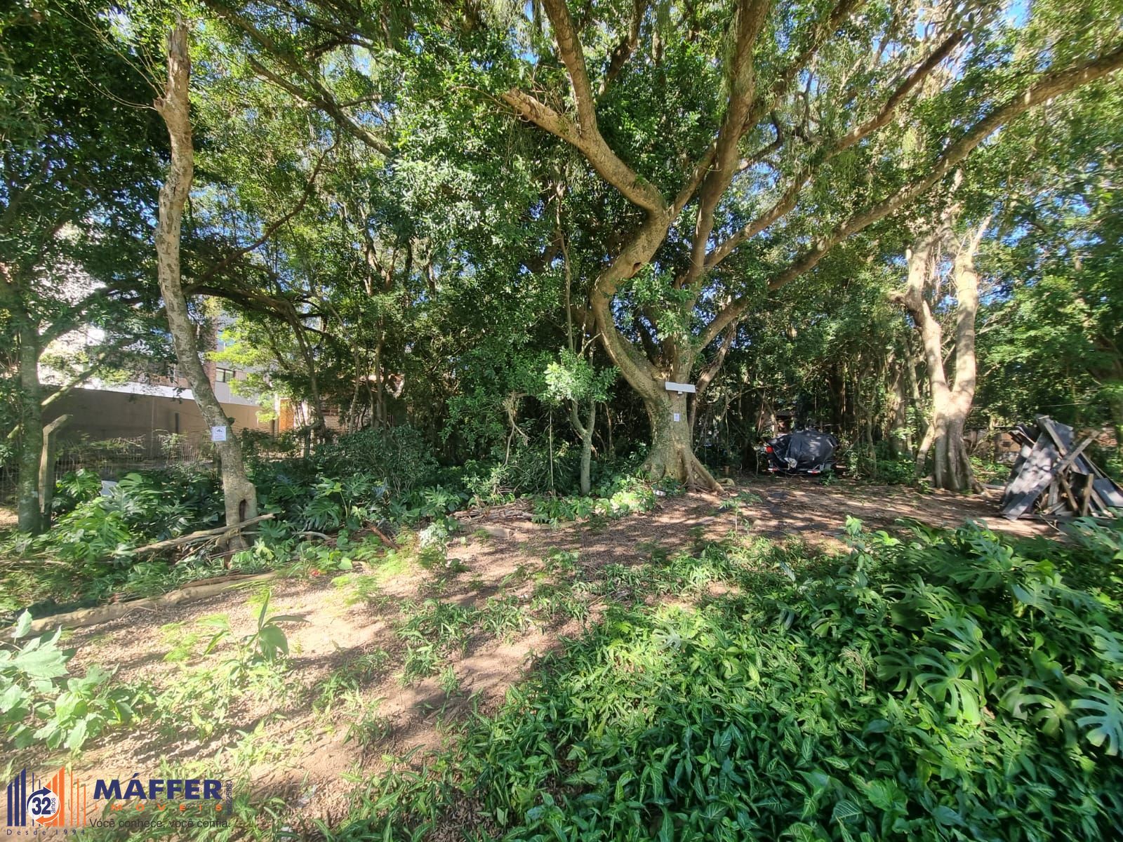 Terreno, 972 m² - Foto 11