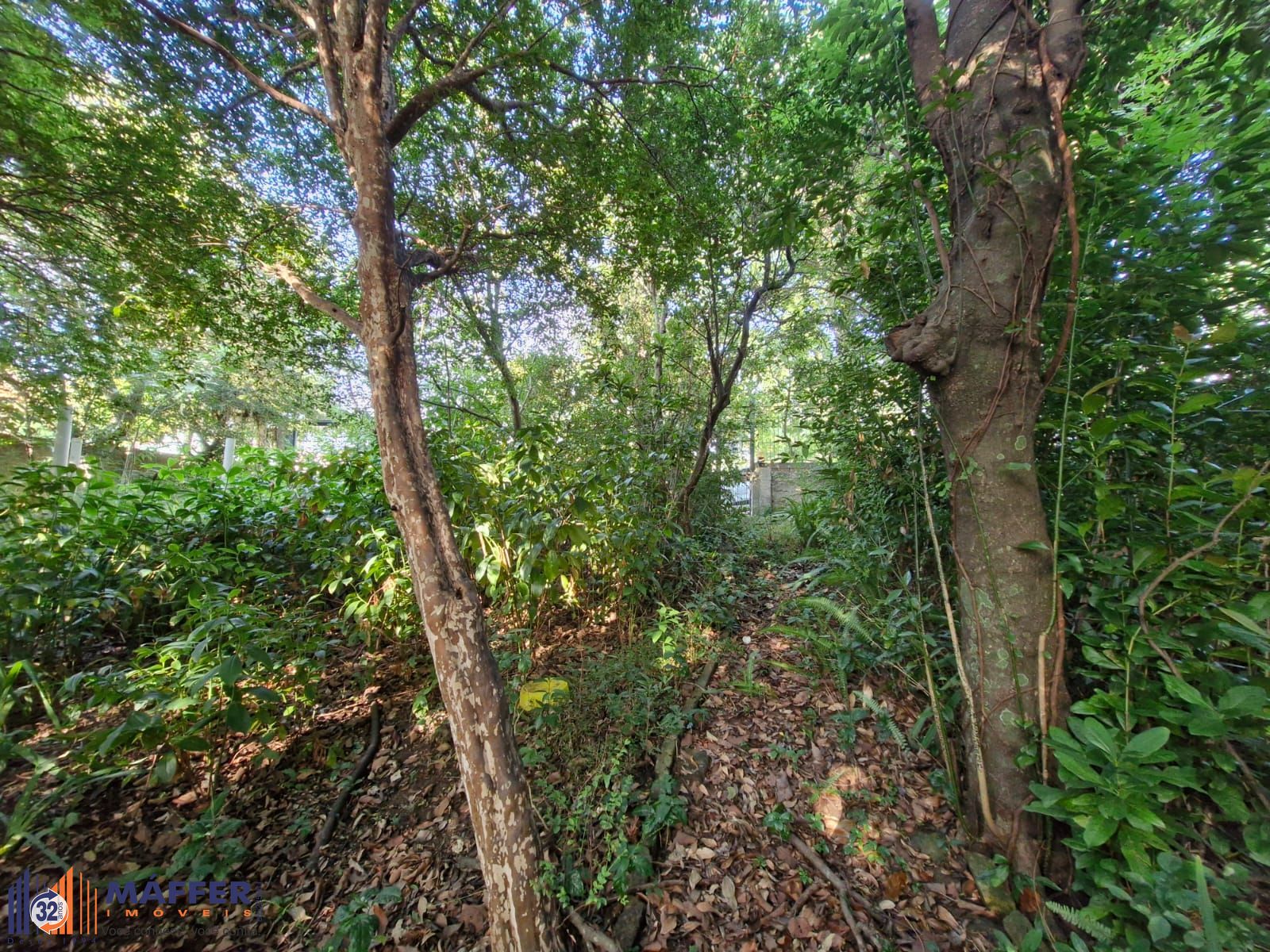 Terreno, à venda, Teresópolis - Porto Alegre — foto 3