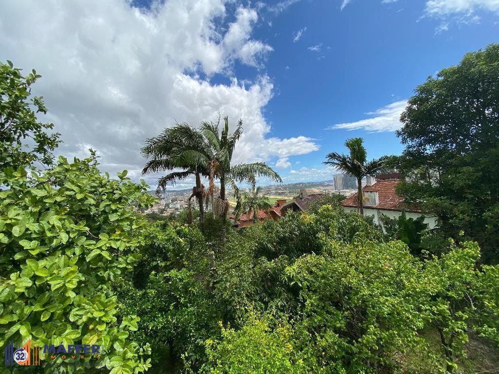Casa, 3 quartos, 597 m² - Foto 42