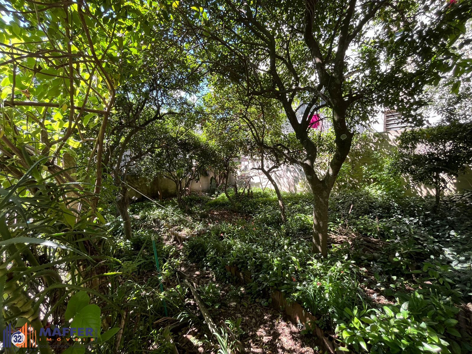 Casa, 6 quartos, 300 m² - Foto 37