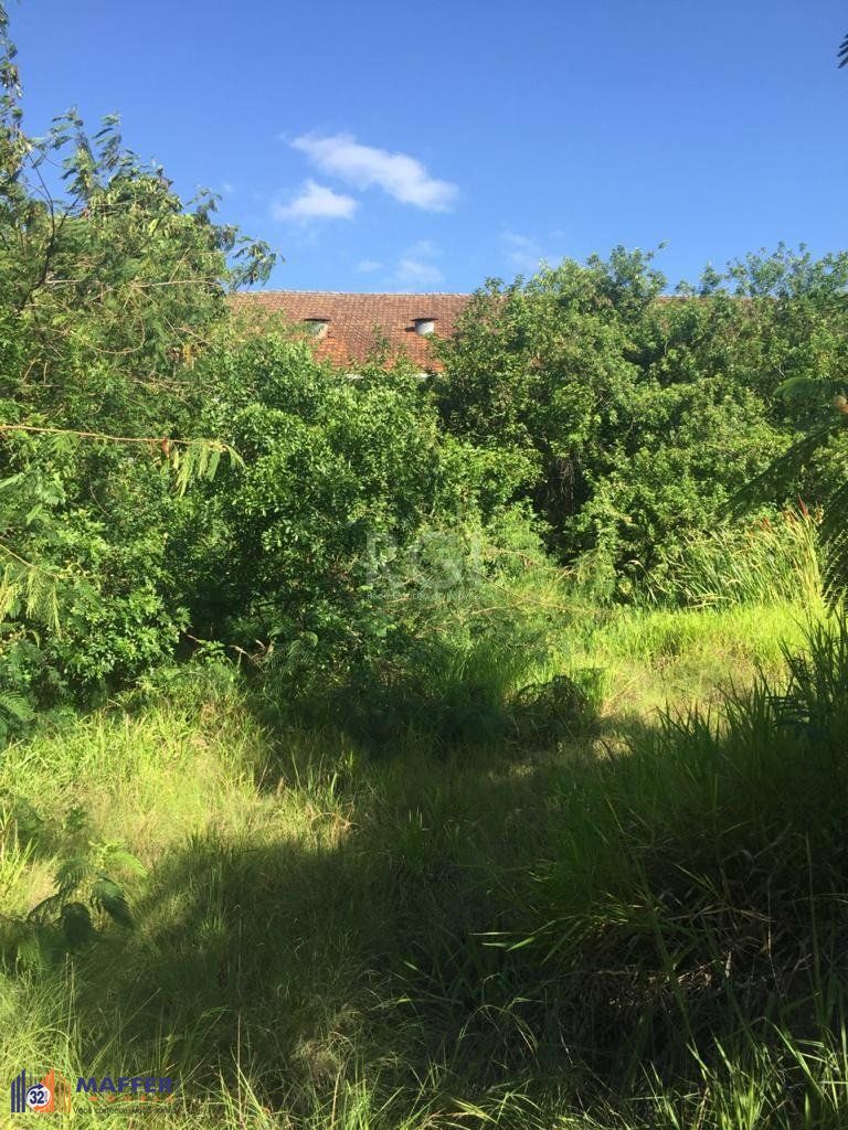 Terreno, 6436 m² - Foto 21