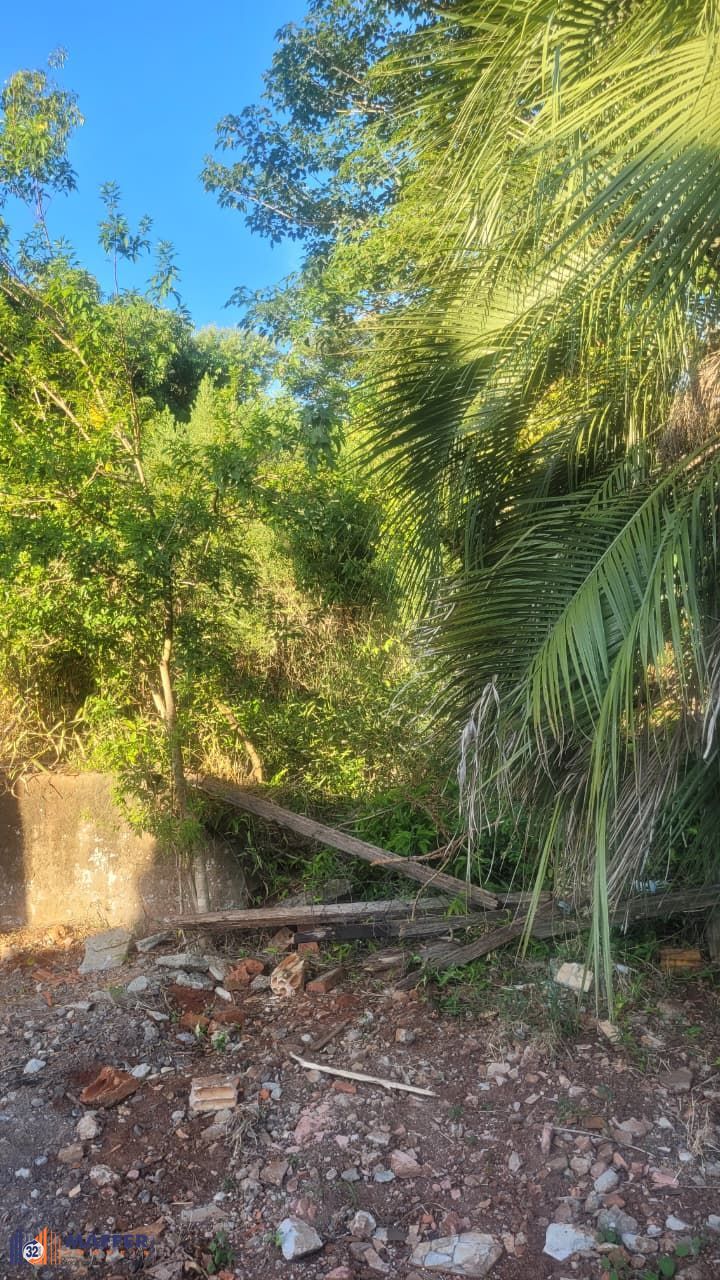 Terreno, à venda, Vila Vista Alegre - Cachoeirinha — foto 4