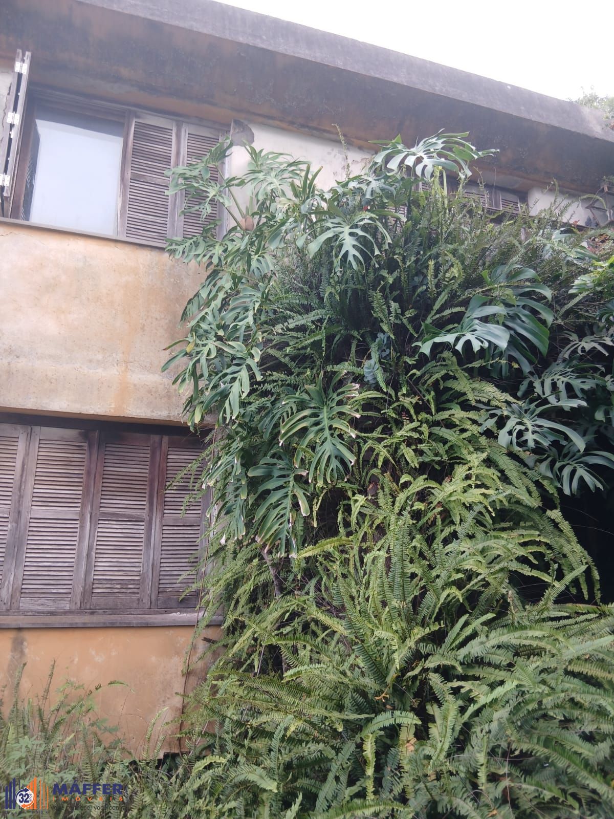 Casa, 4 quartos, 260 m² - Foto 1