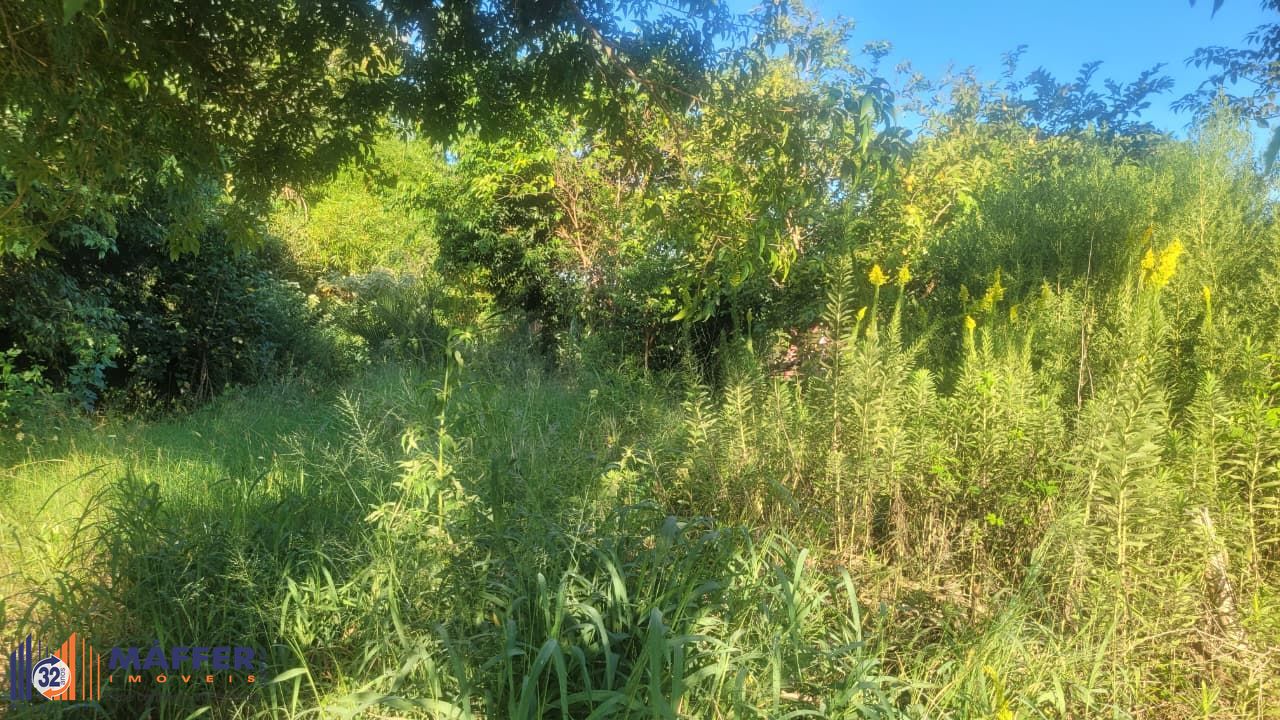Terreno, à venda, Vila Vista Alegre - Cachoeirinha — foto 5