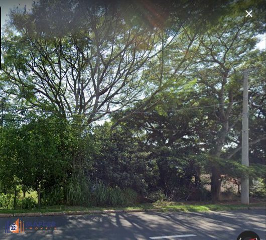 Terreno na av pinheiro borda com vista com 564n²