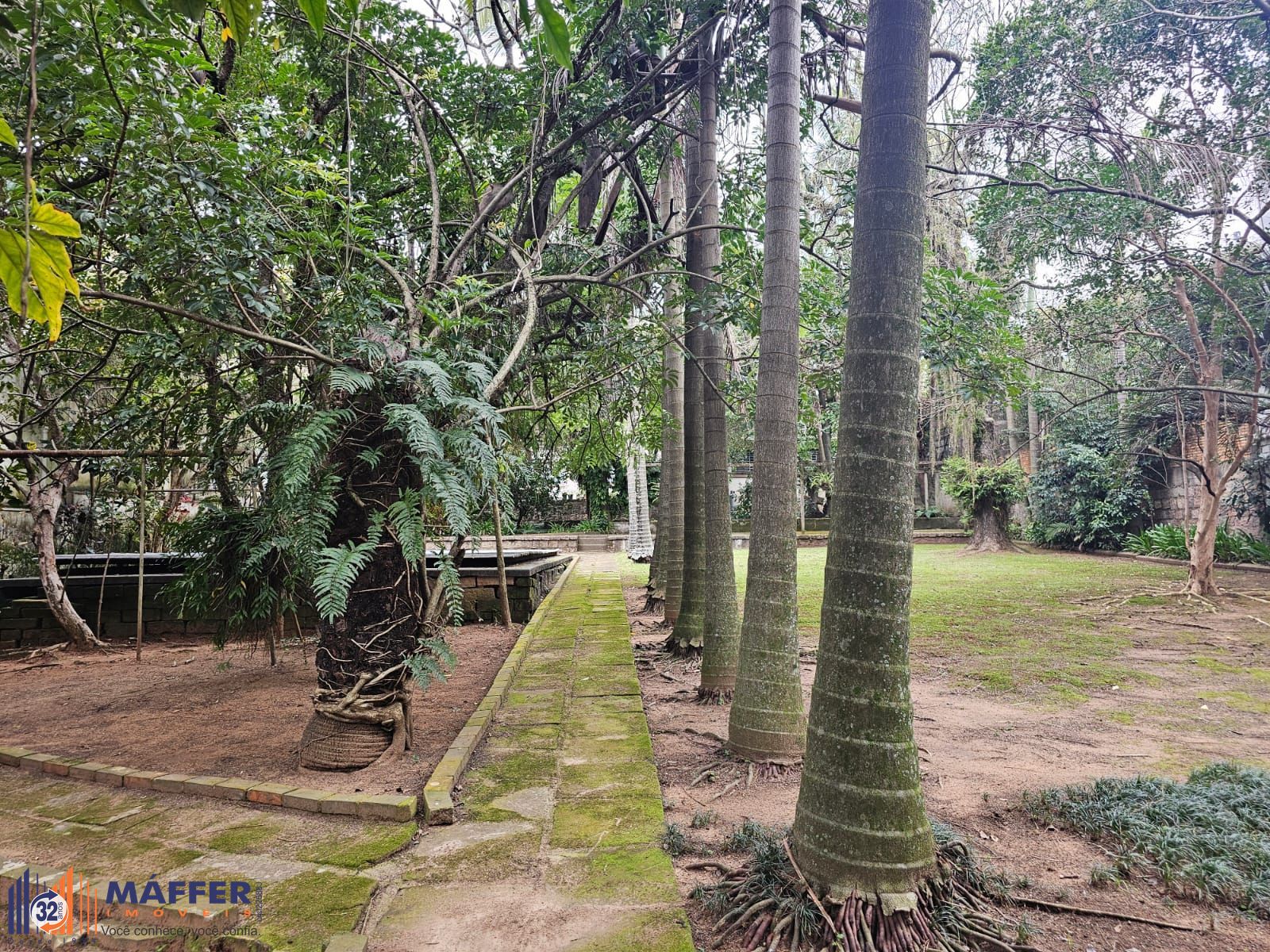 Terreno, 1775 m² - Foto 4