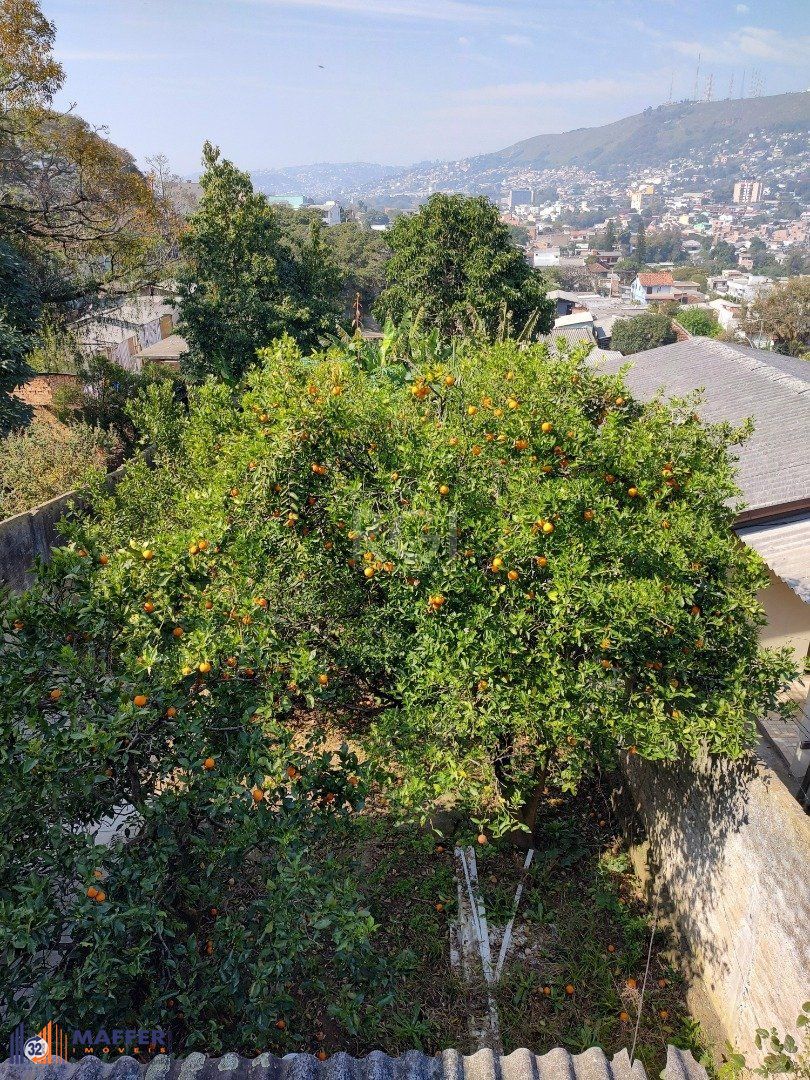Casa, 3 quartos, 335 m² - Foto 22