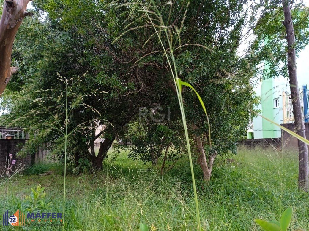 Terreno, 368 m² - Foto 1