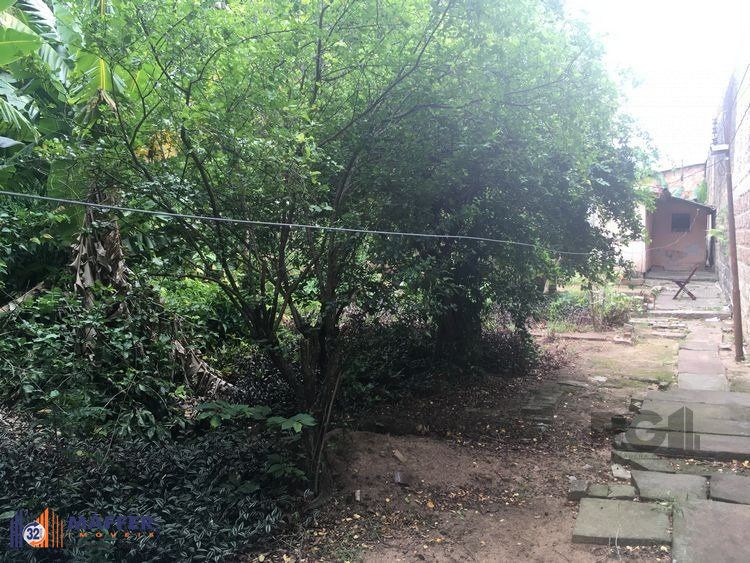 Terreno, à venda, Santa Tereza - Porto Alegre — foto 5