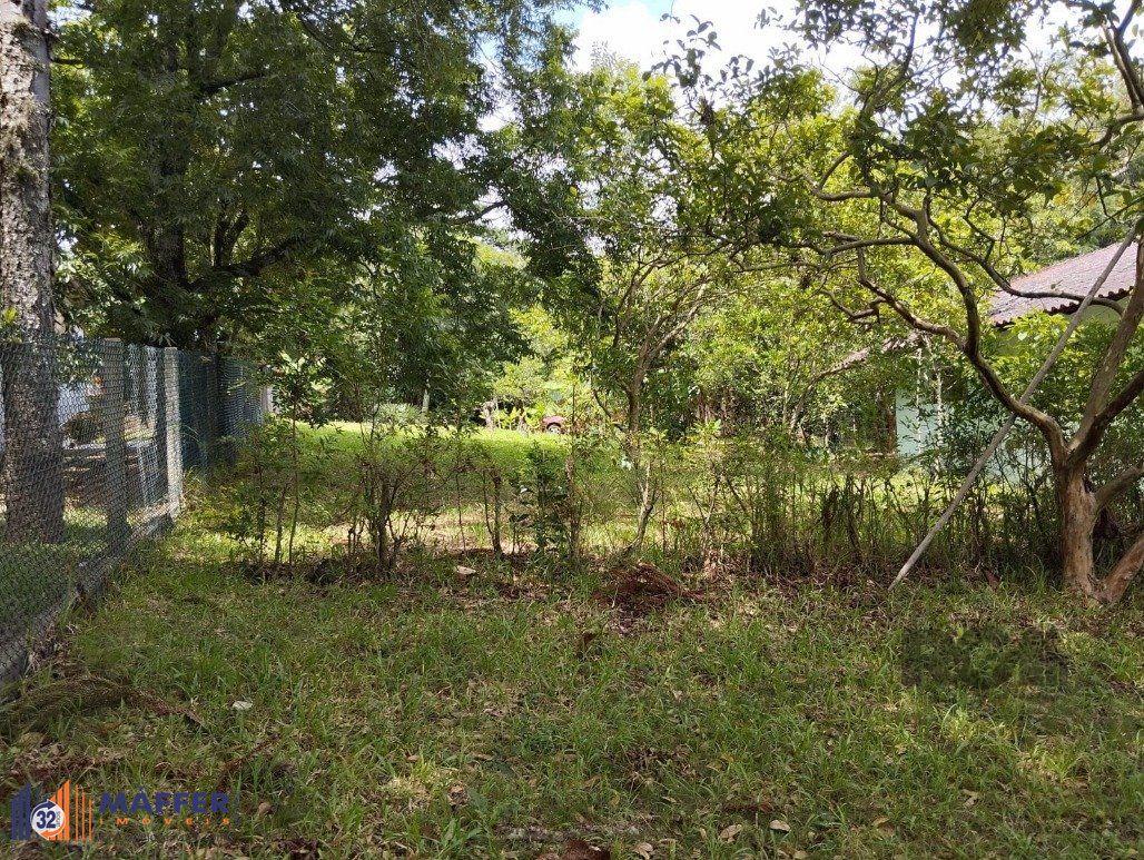 Casa, 3 quartos, 360 m² - Foto 29