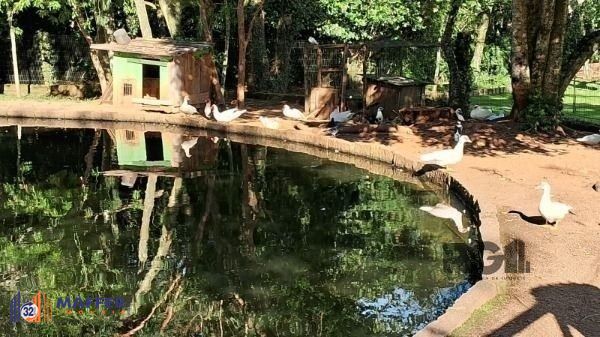 Casa de Condomínio, 4 quartos - Foto 68
