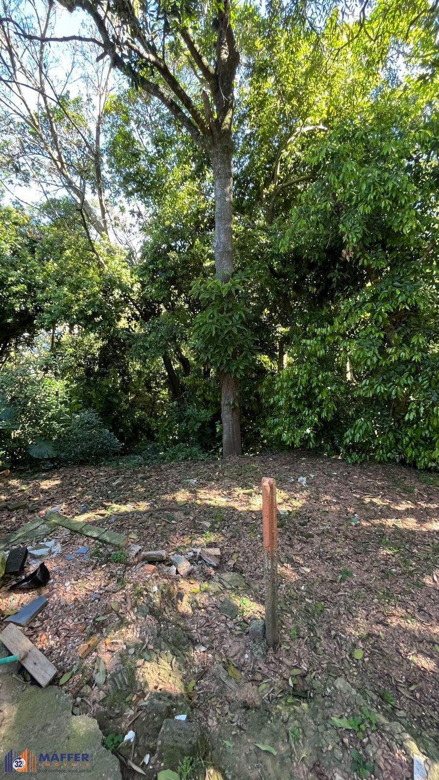 Terreno, 3041 m² - Foto 13