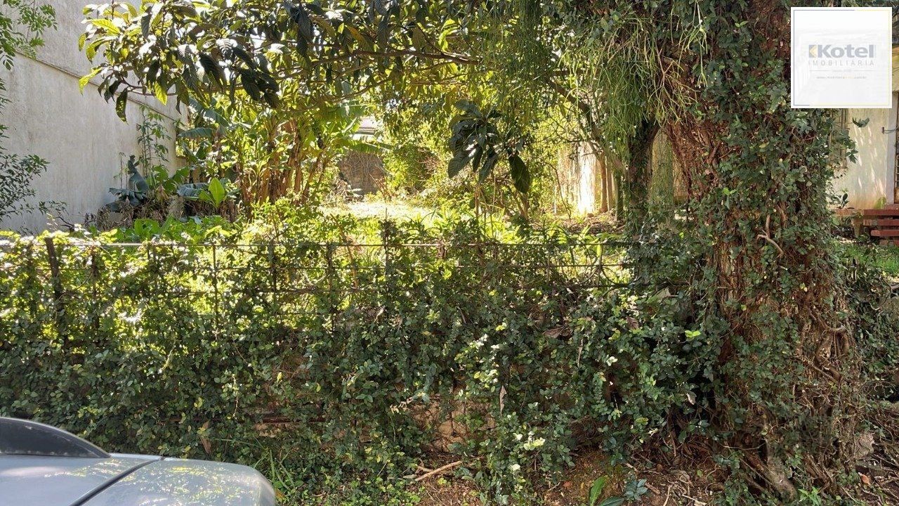 Terreno à venda, Vila Ipiranga - Porto Alegre — foto 2
