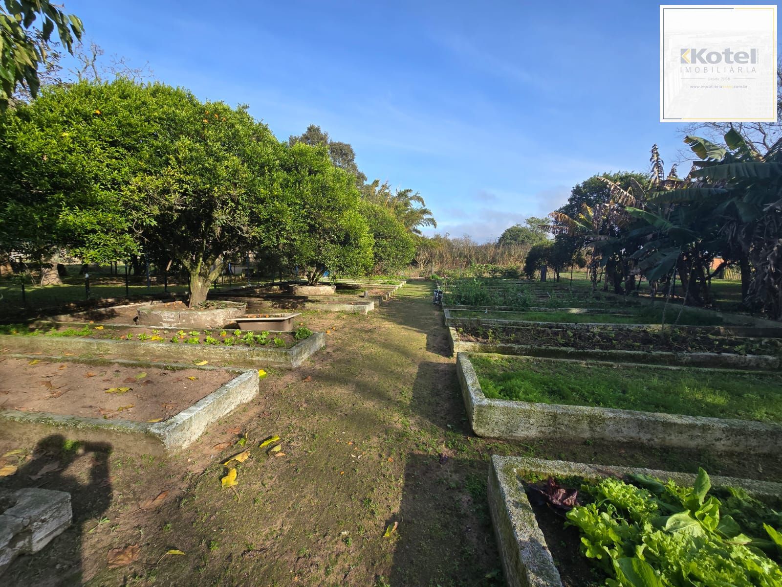 Sitio na Restinga com 2 casas e ótima oportunidade para investimento — foto 3