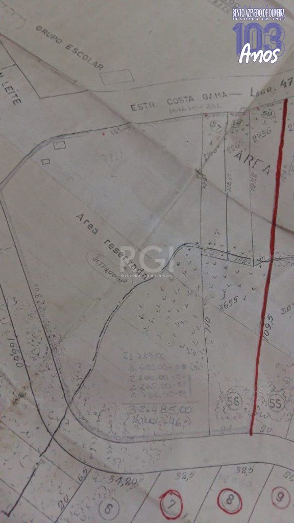 Terreno, 3 hectares - Foto 14