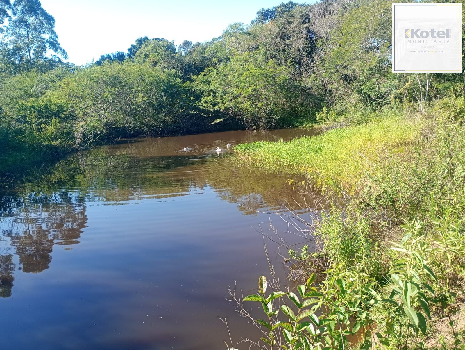 Sítio com Casa com piscina 2 Açudes em Glorinha RS — foto 3