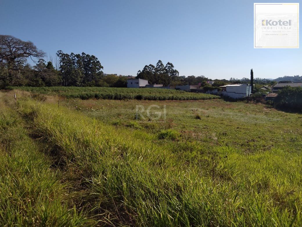 Area para Venda - 36.900m² - Campo Novo — foto 2