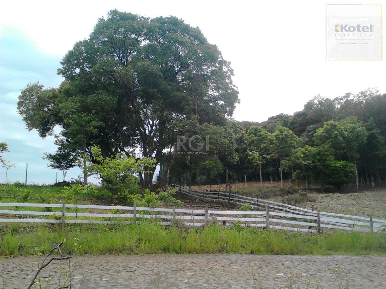 Geminado 2 quartos à venda, 2337m², Centro - Barão de Cotegipe — foto 2