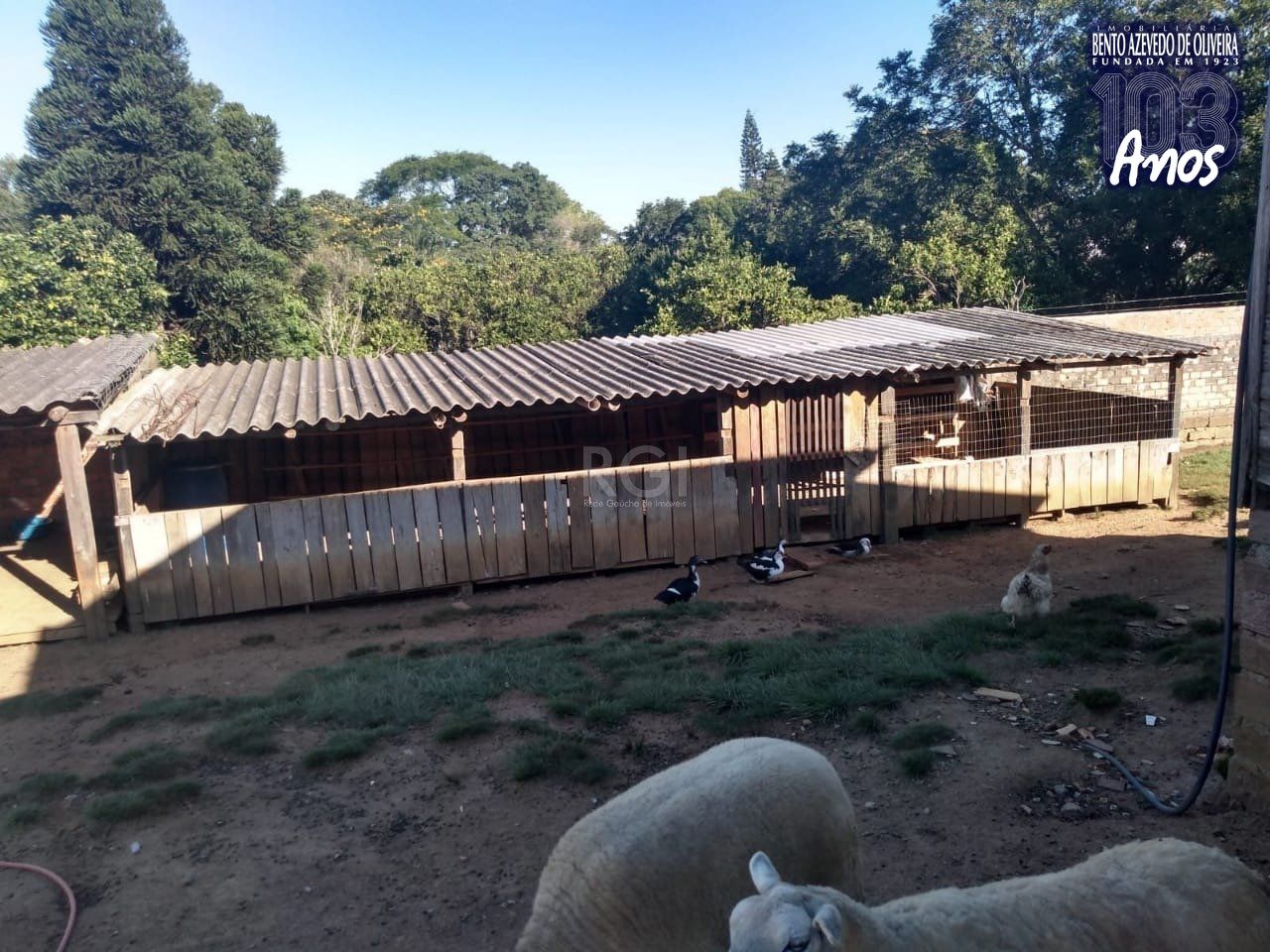 Sítio, 2 quartos, 3360 m² - Foto 14