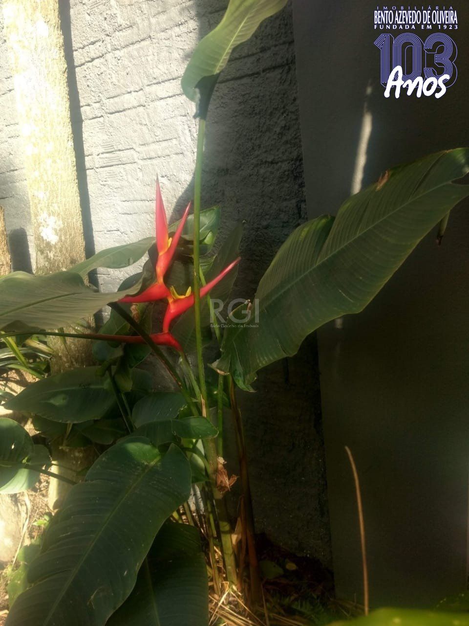 Terreno, 1 m² - Foto 11