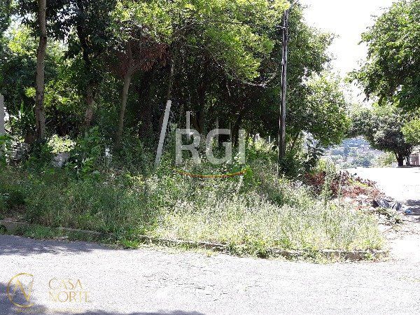 Terreno à venda  com 980m², Rua São Marcos no bairro Bom Jesus em Porto Alegre