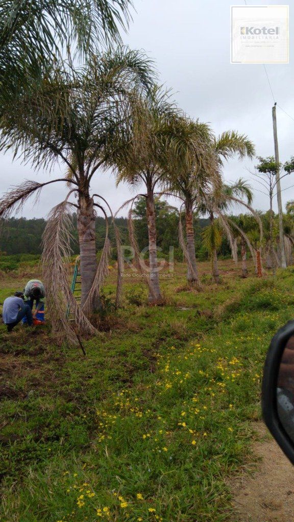 Area para Venda - 7787.1m², 0 dormitórios, Centro