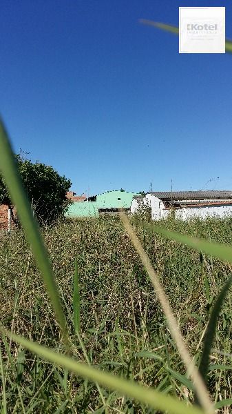 Terreno para Venda - 0m², 0 dormitórios, Ponta Grossa — foto 3