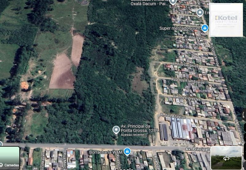 Terreno no Bairro Ponta Grossa com 17 Hectares — foto 2