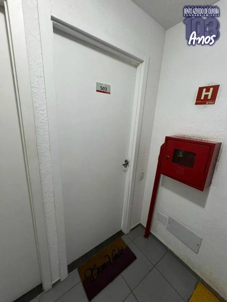2325398.jpeg