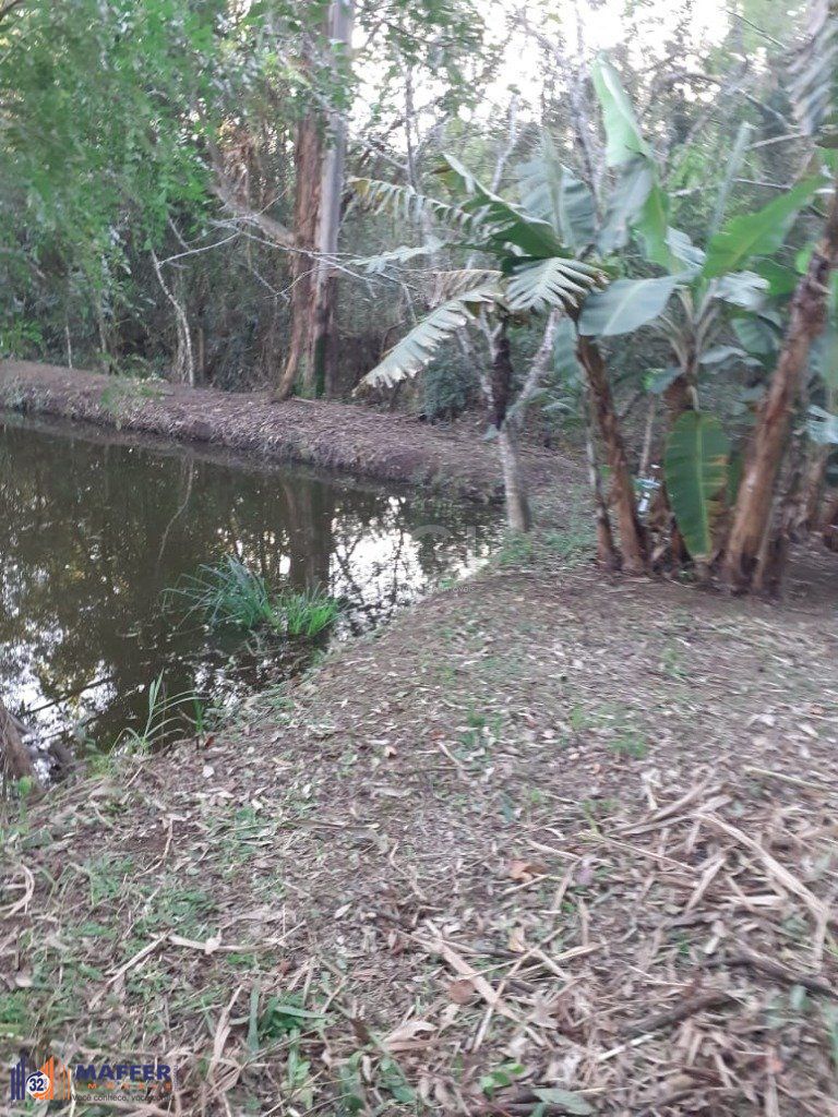 Terreno, à venda, Sítio Túnel Verde - Cachoeirinha — foto 4