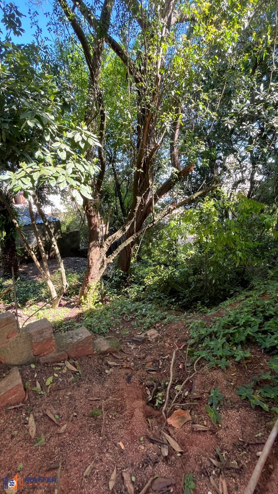 Terreno, 1 quarto, à venda, Tristeza - Porto Alegre — foto 2
