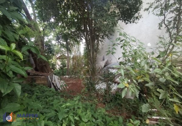 Terreno, 350 m² - Foto 6