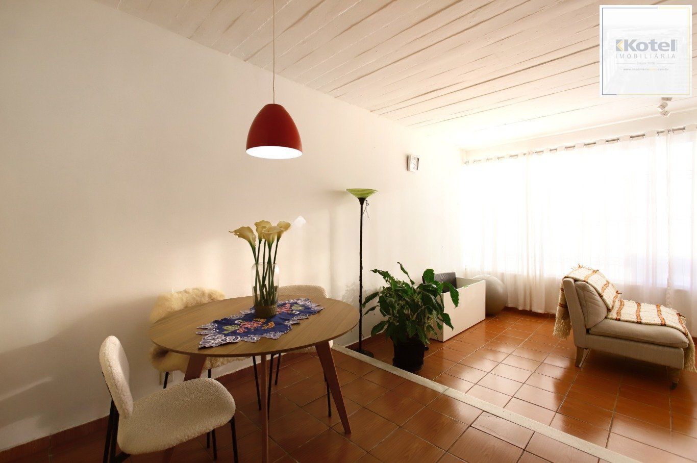 Casa com Edícula nos fundos, total de 5 dormitórios no Bairro gloria. — foto 5