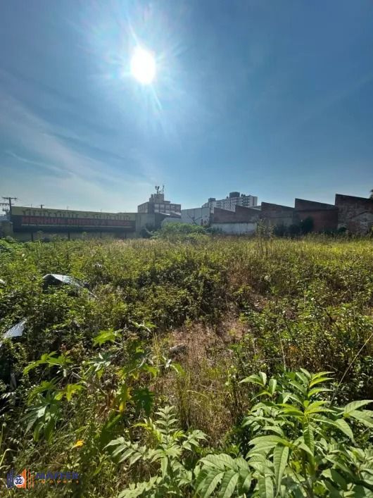 Terreno, 1100 m² - Foto 6