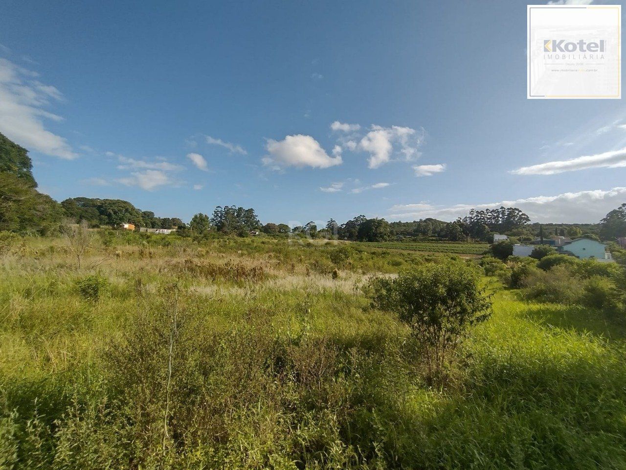 Área de terras no bairro Campo Novo — foto 3