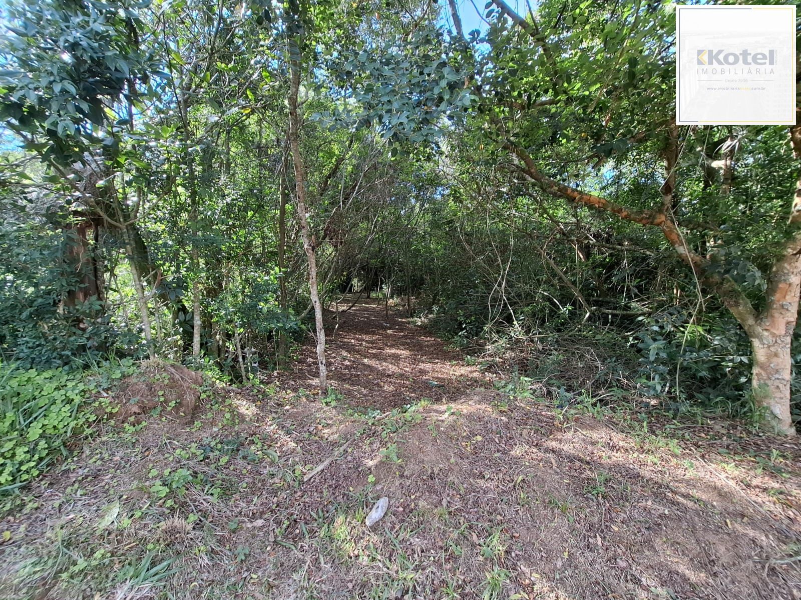 Terreno medindo 20 de frente por 65.46 de extenção Av Costa Gama 2845 — foto 3