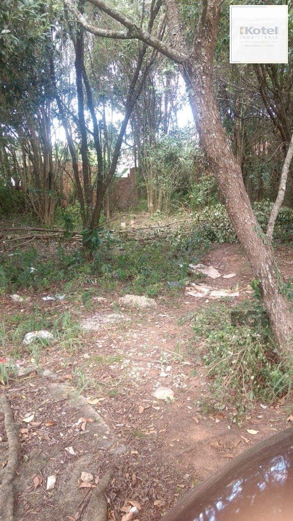 Terreno à venda, Lomba do Pinheiro - Porto Alegre — foto 3